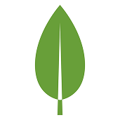 MongoDB